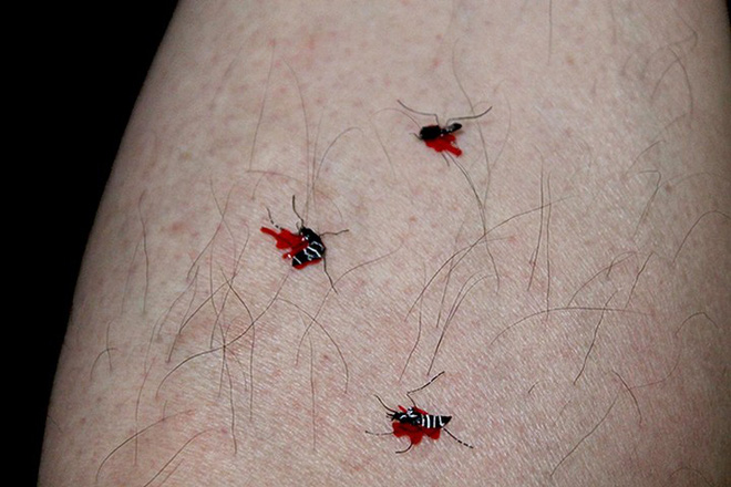 Picture 4 of These mosquitoes look so real that anyone who wants to see them wants to beat them