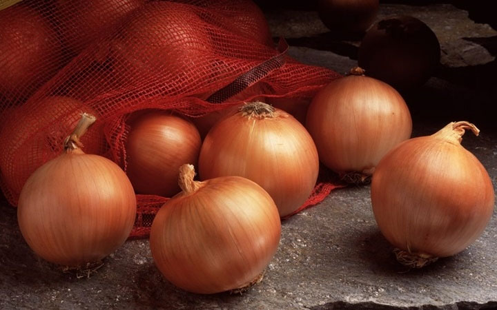 Picture 9 of These nutritious food for the brain