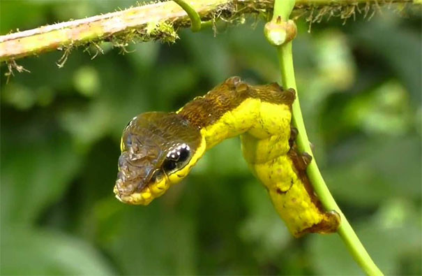 Picture 13 of These photos show you nature has never been so scary