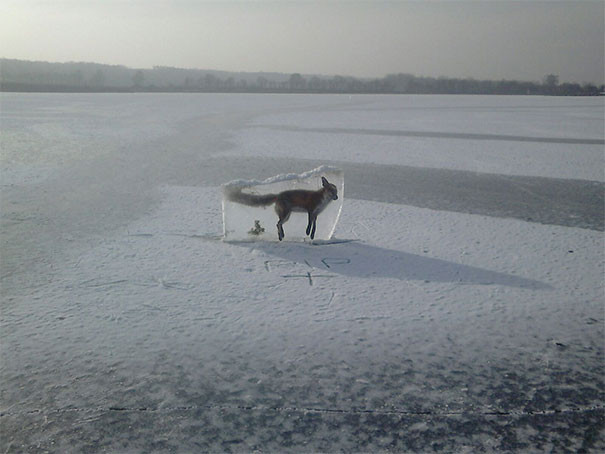 Picture 7 of These photos show you nature has never been so scary