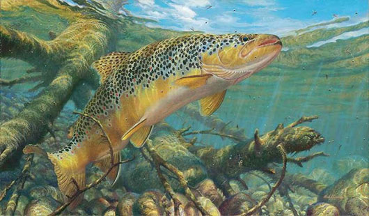 Picture 4 of These reproductive and survival behaviors are confusing in animals