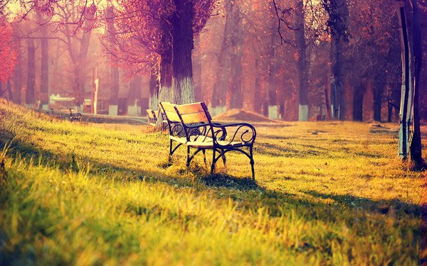 Picture 5 of These simple elements help you live long