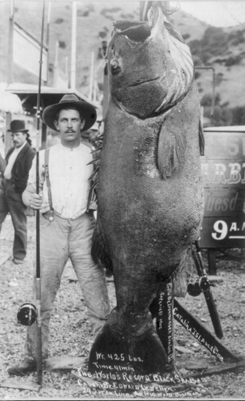Picture 7 of Things that have happened in history amaze you