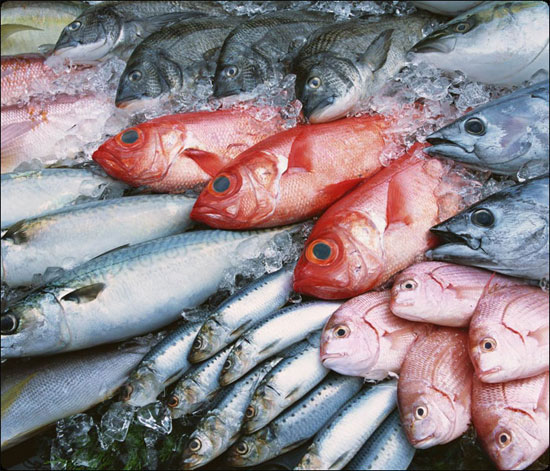 Picture 2 of Things to know when eating fish