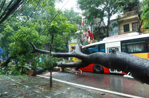 Picture 4 of Things to remember when going out on a rainy day