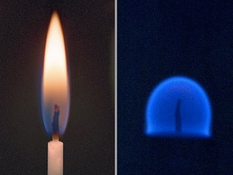 Picture 6 of Things you can't believe are true