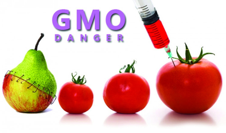 Picture 3 of Things you should know about GMO genetically modified foods