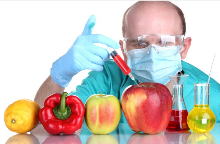 Picture 4 of Things you should know about GMO genetically modified foods
