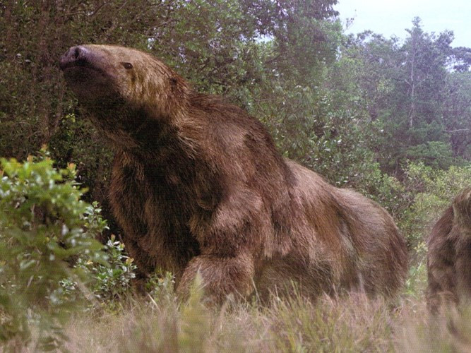 Picture 2 of This animal will make you fly your head with just one hand