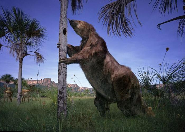 Picture 3 of This animal will make you fly your head with just one hand