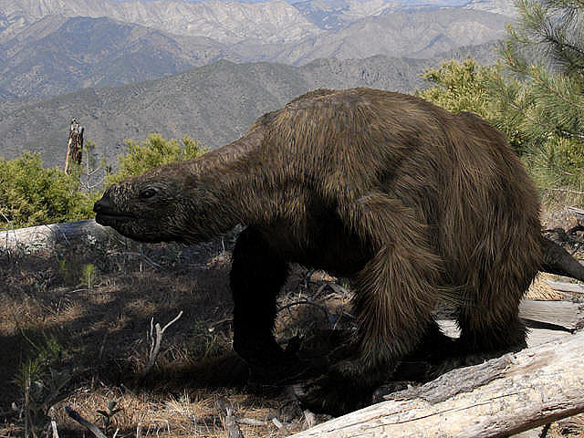 Picture 4 of This animal will make you fly your head with just one hand