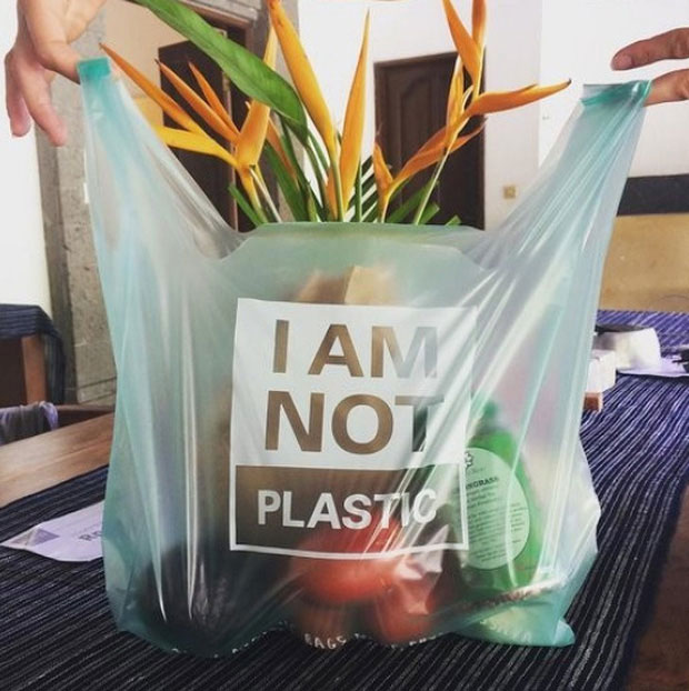 Picture 1 of This bag is what will change the entire fight against plastic around the world