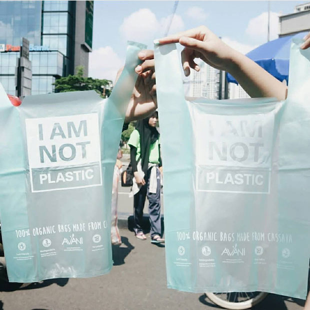 Picture 3 of This bag is what will change the entire fight against plastic around the world