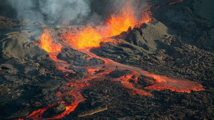 Picture 1 of This is Earth's worst mass extinction disaster