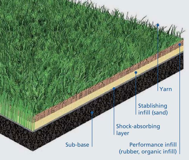 Picture 2 of This is the reason why 2018 World Cup final will use the grass field.