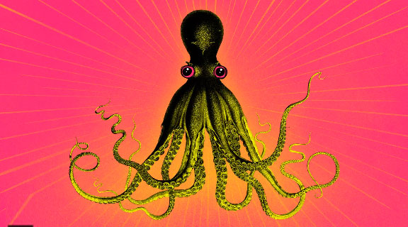 Picture 3 of This is why octopus is recognized as the most monstrous creature on the planet