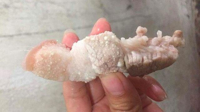 Picture 3 of This meat is for money also do not eat because it can destroy the stomach, causing cancer