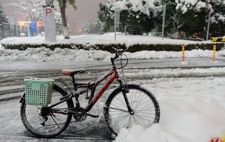 Picture 11 of Thousands of cars in Changzhou are covered by snow for many days