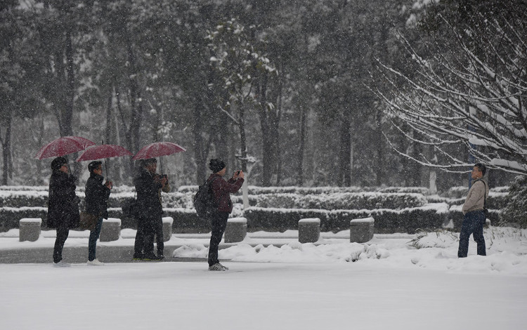 Picture 19 of Thousands of cars in Changzhou are covered by snow for many days