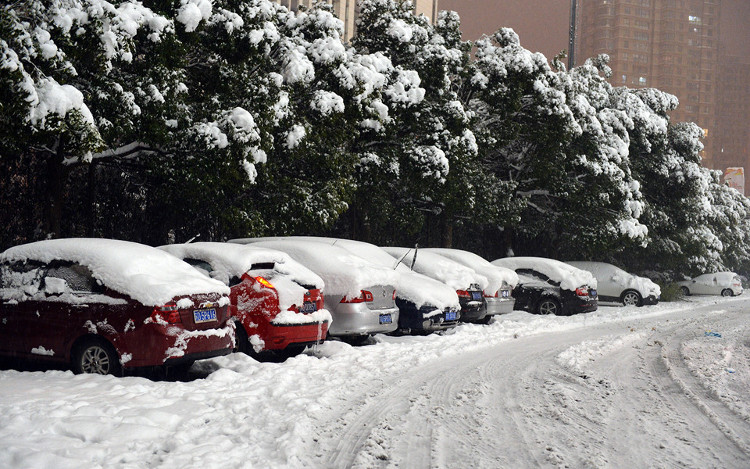 Picture 5 of Thousands of cars in Changzhou are covered by snow for many days