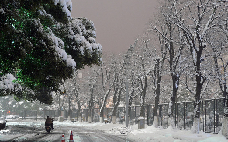 Picture 9 of Thousands of cars in Changzhou are covered by snow for many days