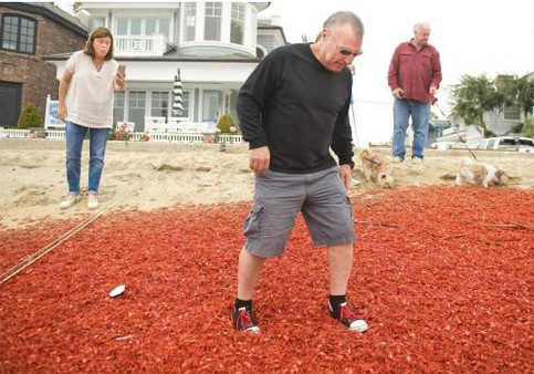 Picture 2 of Thousands of crabs dyed red American beaches