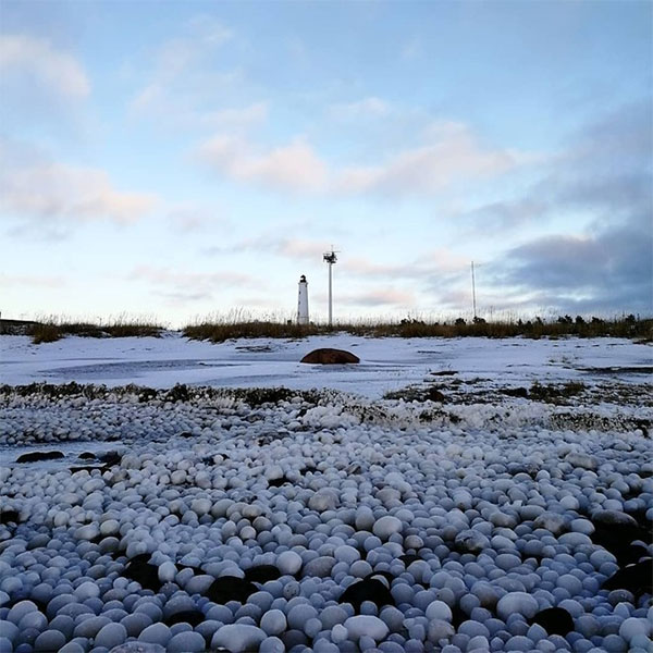Picture 1 of Thousands of ice balls cover the coast of Finland