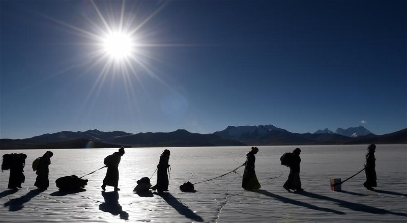 Picture 1 of Thousands of sheep migrate across the world's highest lake