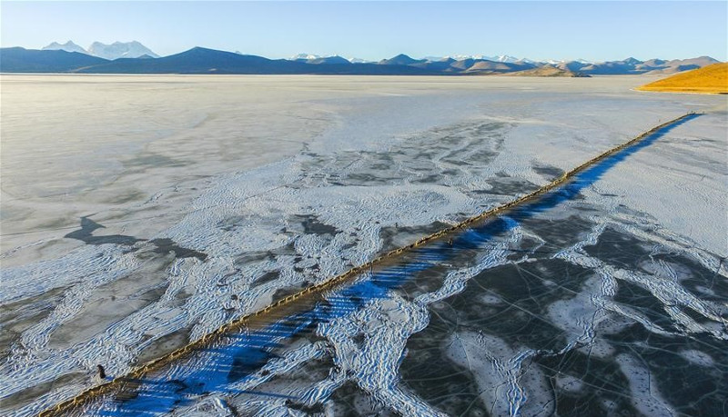 Picture 11 of Thousands of sheep migrate across the world's highest lake
