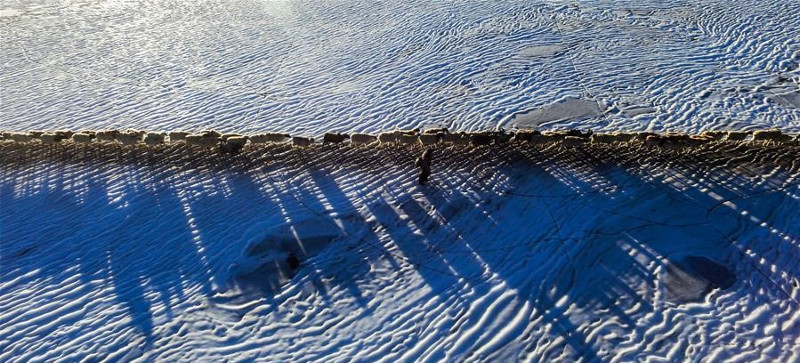 Picture 6 of Thousands of sheep migrate across the world's highest lake