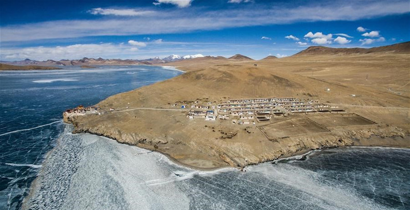 Picture 8 of Thousands of sheep migrate across the world's highest lake