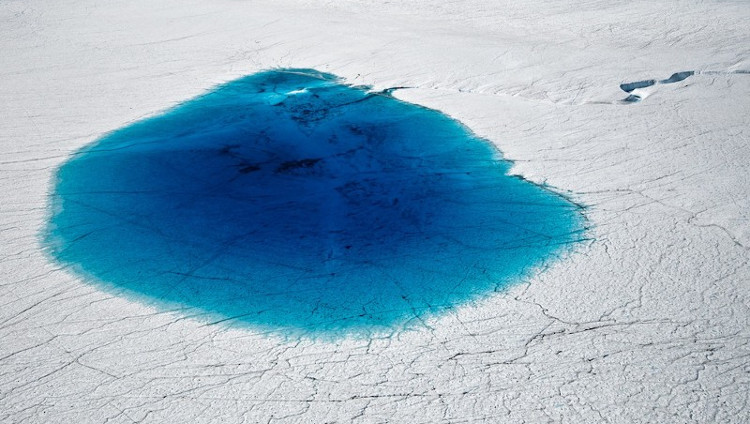 Picture 3 of Thousands of these green streaks are appearing in Antarctica, and that's extremely bad news