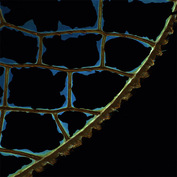 Picture 10 of 'Three diamonds in the sky' won the scientific prize 2018