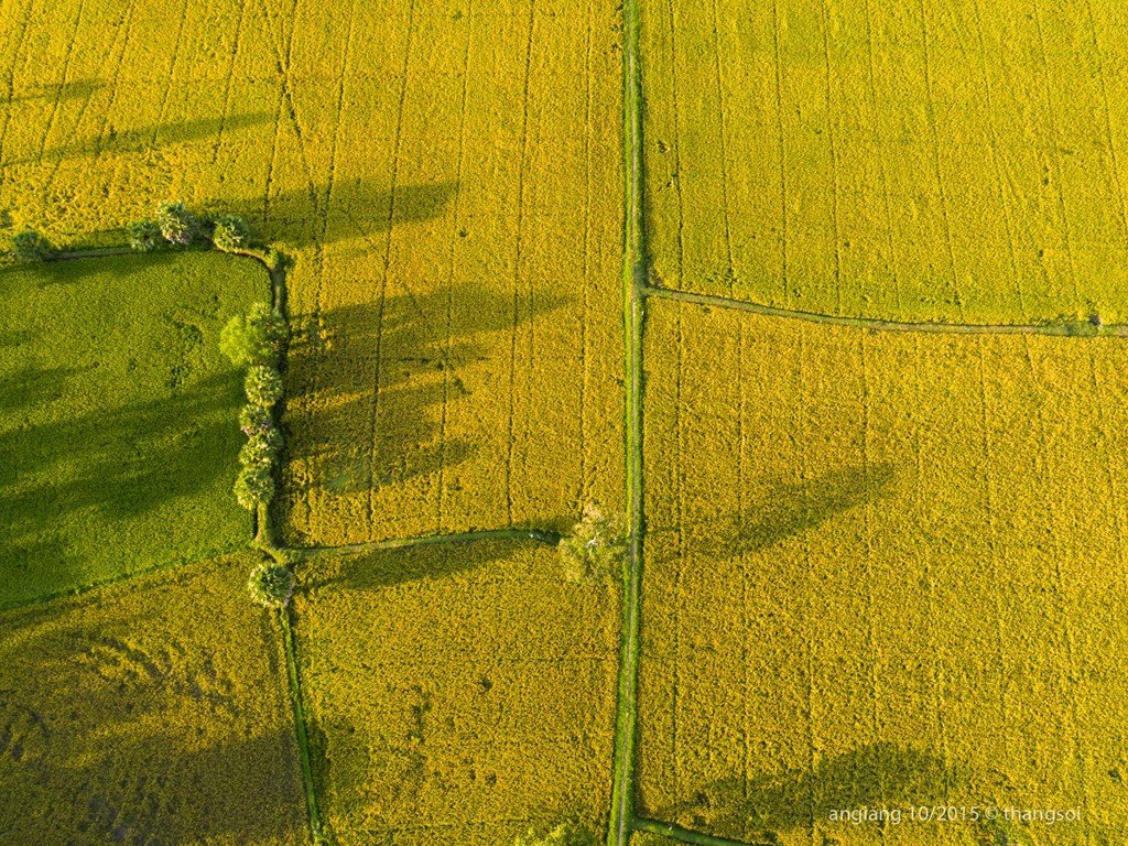 Picture 19 of Three North - Central - South regions look from the sky