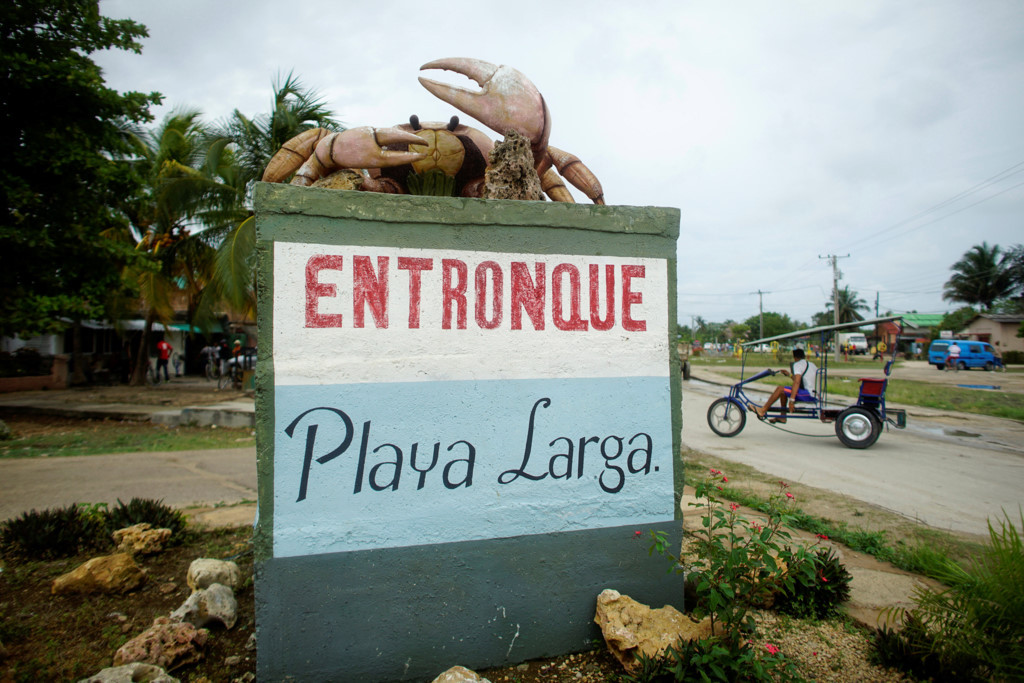 Picture 9 of Three-colored crabs invaded the Pig Bay in Cuba