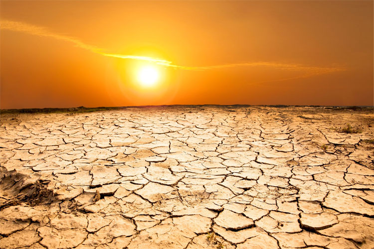 Picture 1 of Three-quarters of the world's population can suffer deadly heat
