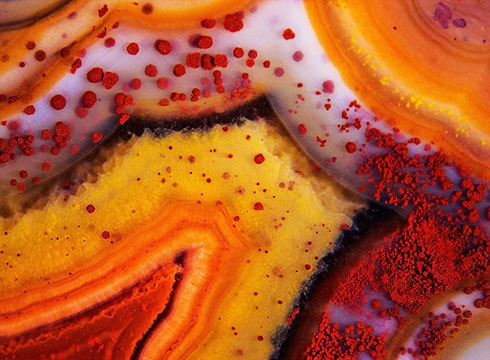 Picture 6 of Through the microscope 2014,