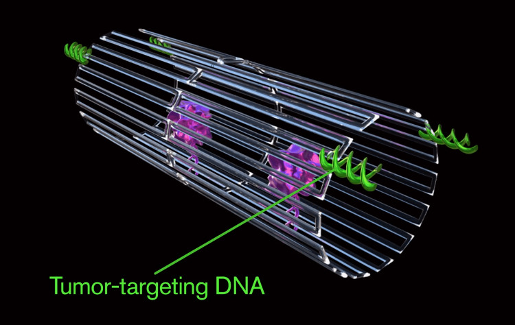 Picture 3 of Tiny DNA robot that destroys cancer according to tactics