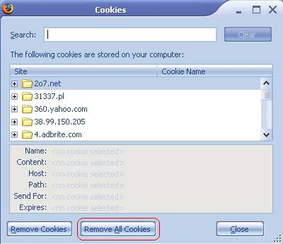 Picture 5 of Tips to download from Rapidshare