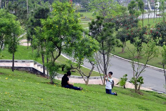 Picture 1 of To be happy, live near parks and trees