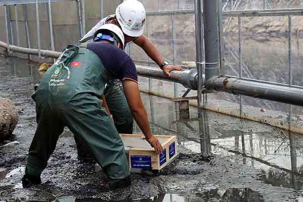 Picture 1 of To Lich River clear water, see the mud bottom is decomposed by Japanese technology