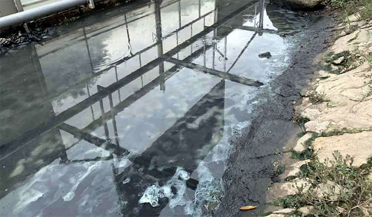 Picture 2 of To Lich River clear water, see the mud bottom is decomposed by Japanese technology