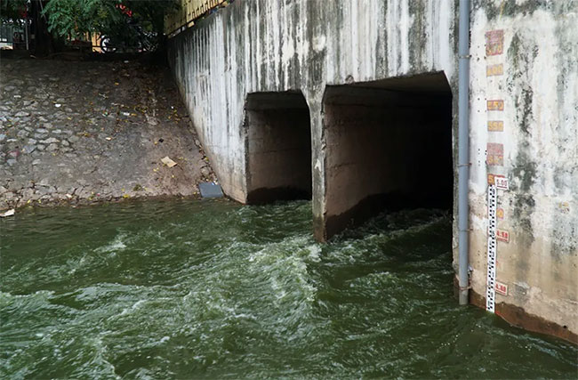 Picture 6 of To Lich River suddenly turns green after receiving water from West Lake