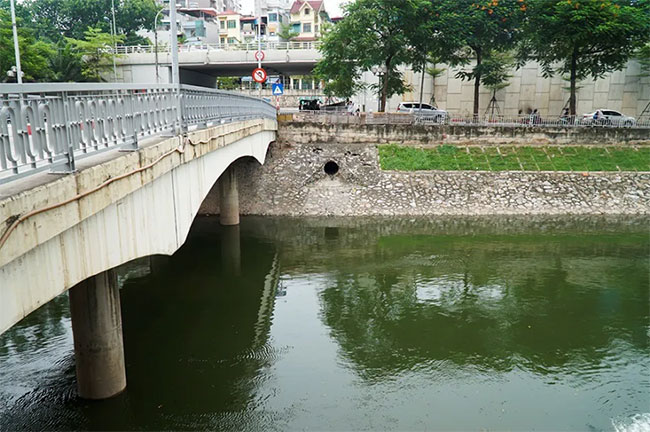 Picture 8 of To Lich River suddenly turns green after receiving water from West Lake