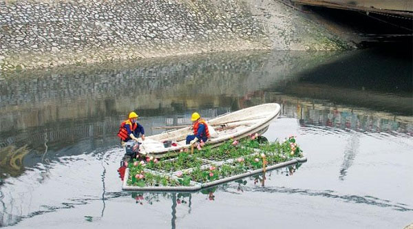 Picture 2 of To Lich River water 'revives' after a week of 'rescue'