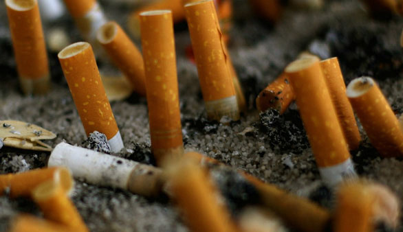 Picture 4 of Tobacco: One of the inventions that causes the most deaths