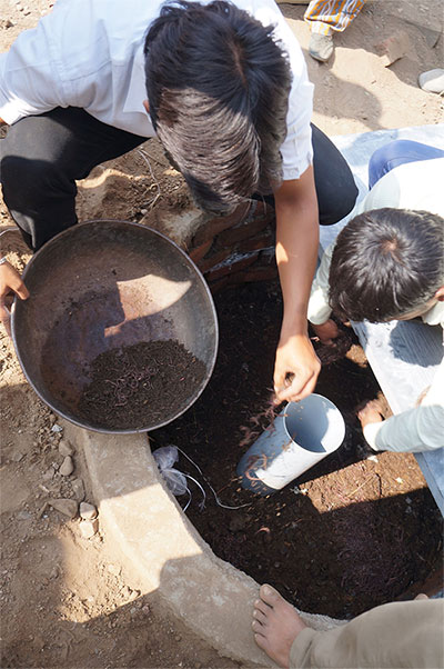 Picture 2 of Toilet with worms of billionaire Bill Gates will change the world
