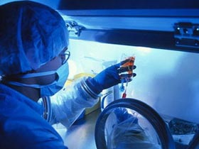 Picture 1 of Tomatoes and anti-AIDS drugs help treat cancer
