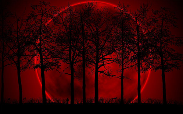 Picture 2 of Tomorrow (8/10) Vietnam see the phenomenon of blood moon