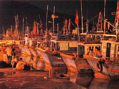 Picture 1 of Tonight, Typhoon Durian landed in Khanh Hoa - Ninh Thuan
